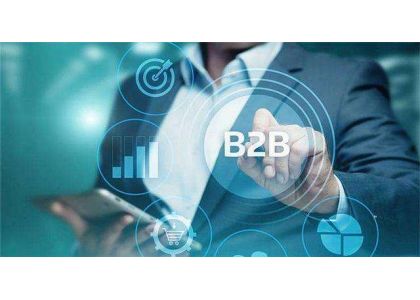 How B2B Websites Can Benefit Small Businesses